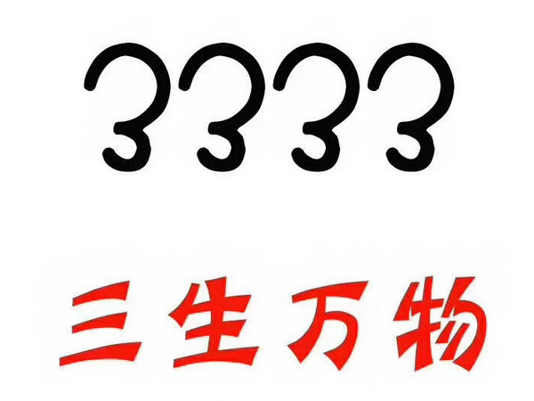3333.jpg 3333.jpg