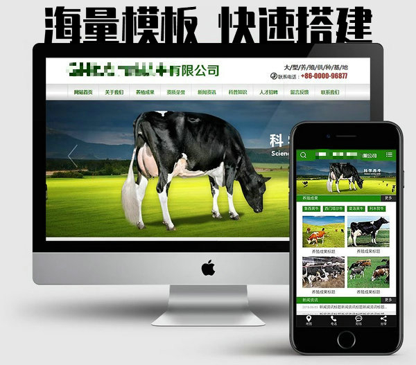 網(wǎng)站建設(shè)制作每年怎么收費